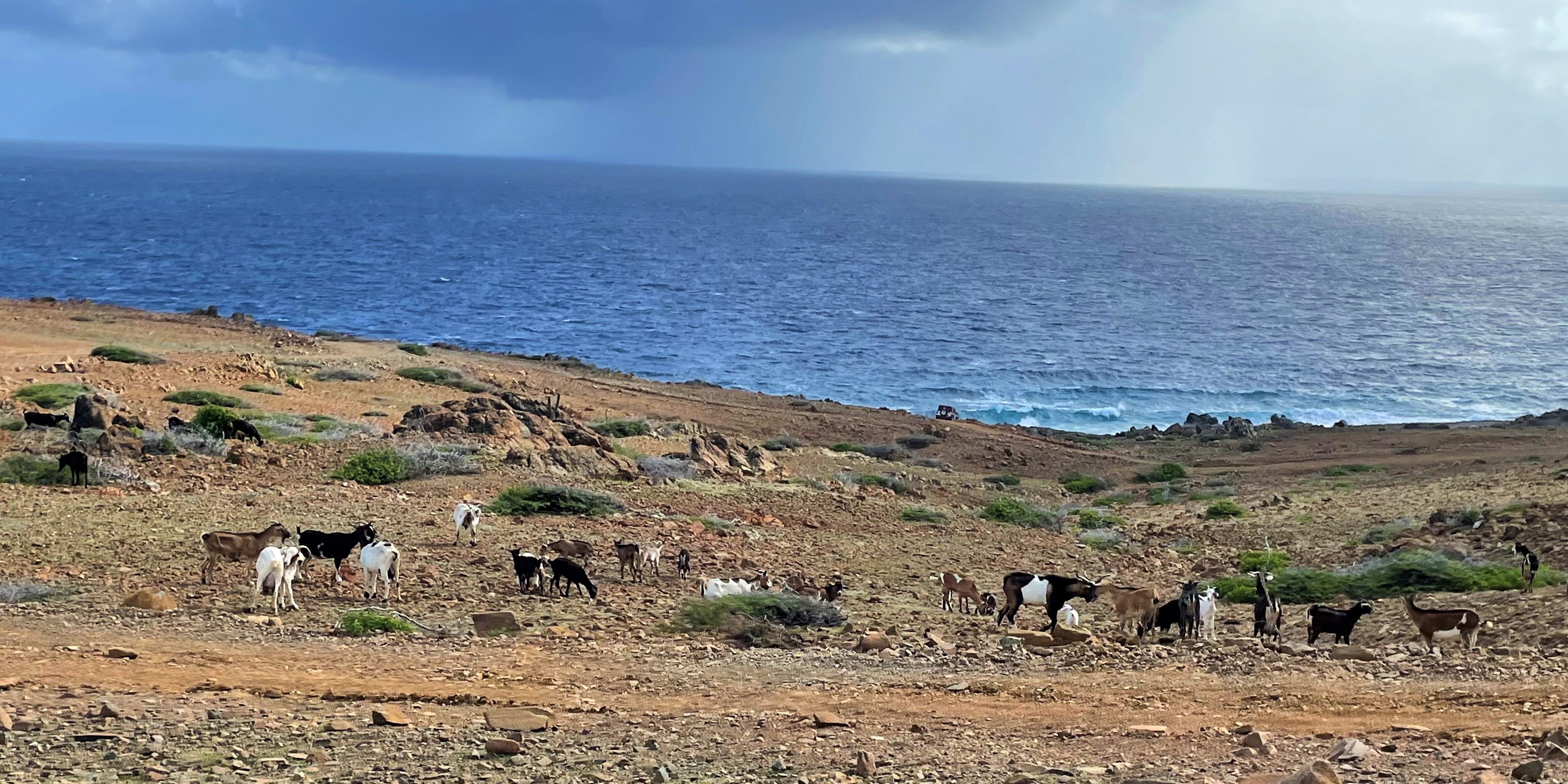 Aruba